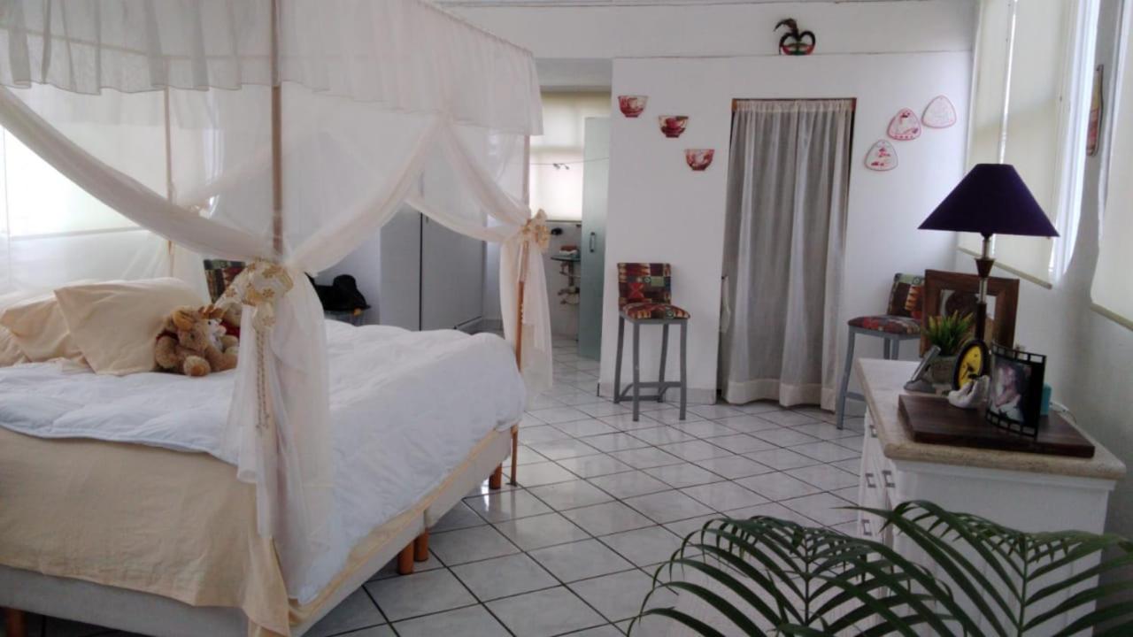 Boutique Basic Hotel Puerto Vallarta Bagian luar foto